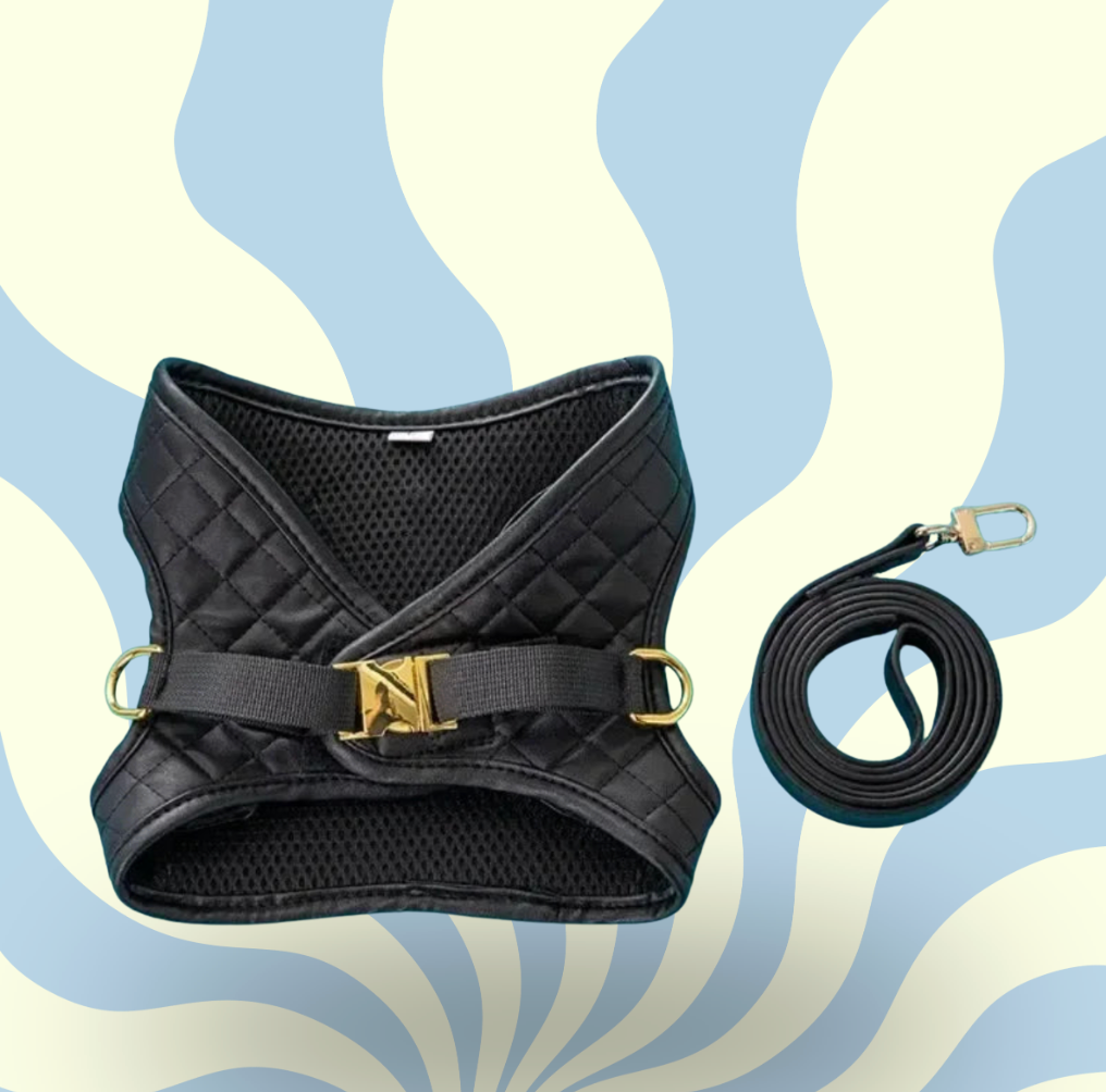 Adjustable Harness Set for Small Medium Dogs, Luxury Leather Fashion Pet Chest Harness