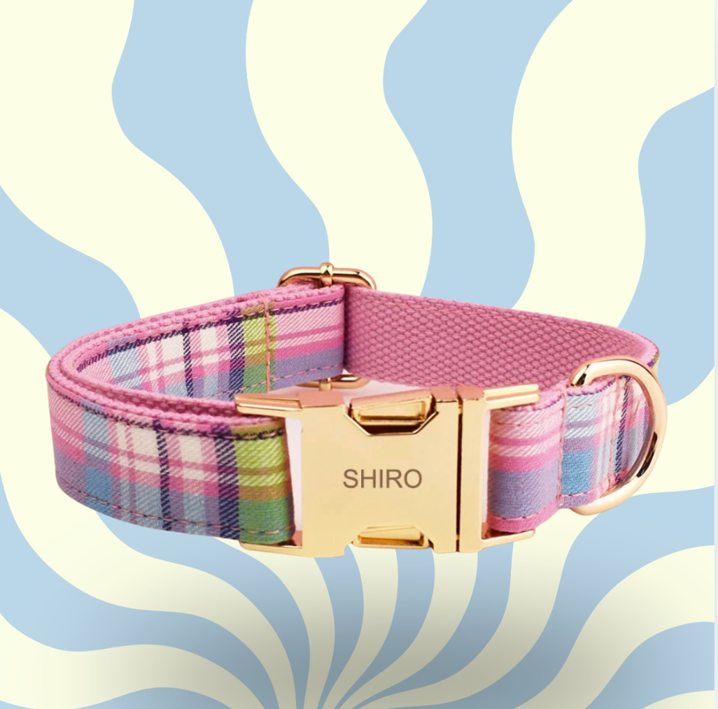Luxury Personalised Dog Leash and Collar ，Retractable Walking Collar for Small and Big Pet .
