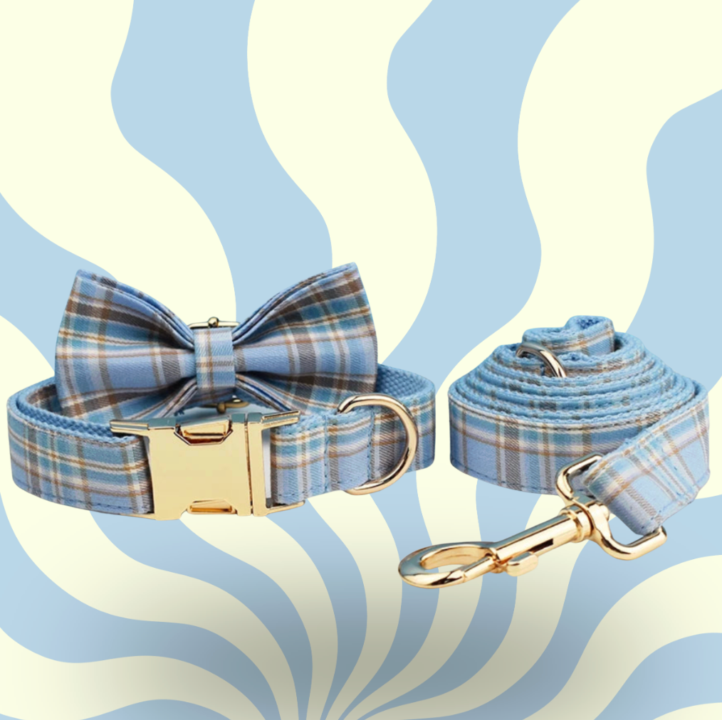 Luxury Personalised Dog Leash and Collar ，Retractable Walking Collar for Small and Big Pet .