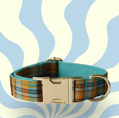 Luxury Personalised Dog Leash and Collar ，Retractable Walking Collar for Small and Big Pet .