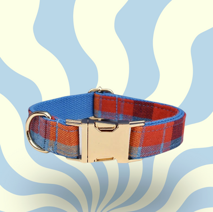 Luxury Personalised Dog Leash and Collar ，Retractable Walking Collar for Small and Big Pet .