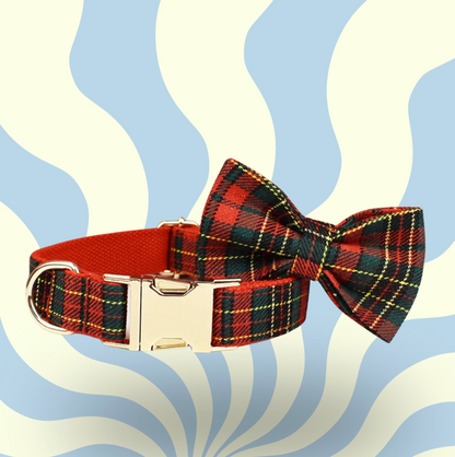 Luxury Personalised Dog Leash and Collar ，Retractable Walking Collar for Small and Big Pet .