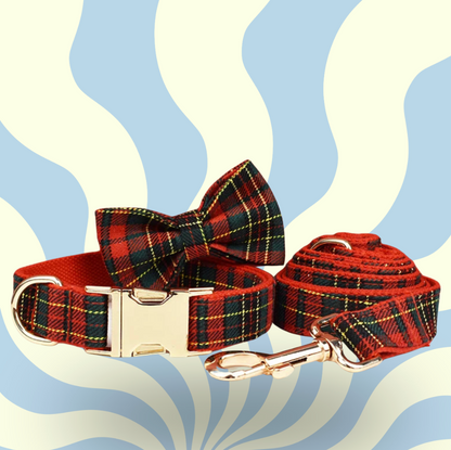 Luxury Personalised Dog Leash and Collar ，Retractable Walking Collar for Small and Big Pet .