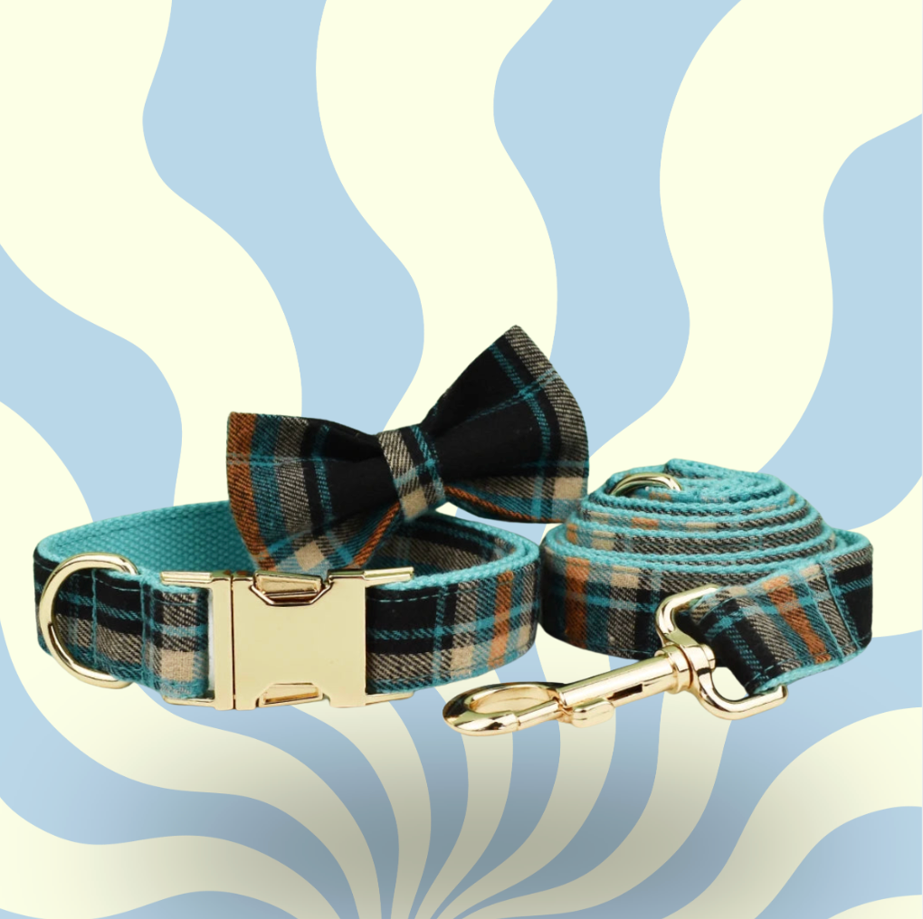 Luxury Personalised Dog Leash and Collar ，Retractable Walking Collar for Small and Big Pet .