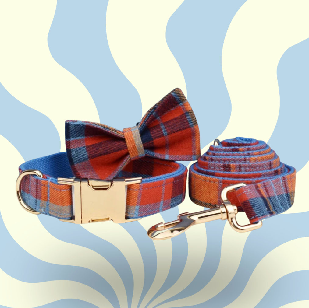 Luxury Personalised Dog Leash and Collar ，Retractable Walking Collar for Small and Big Pet .