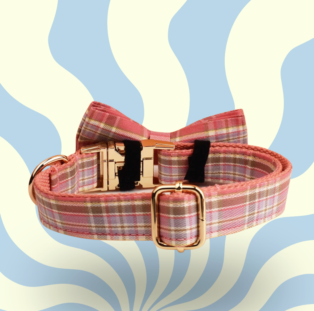 Luxury Personalised Dog Leash and Collar ，Retractable Walking Collar for Small and Big Pet .